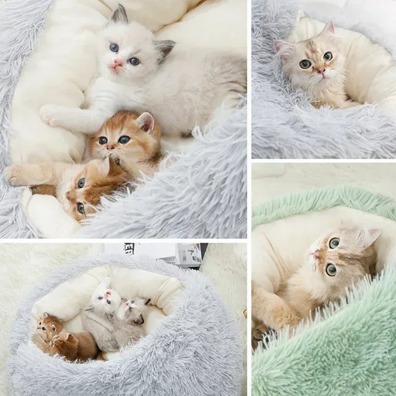 The PurrNest