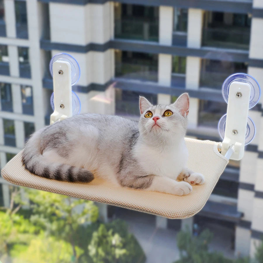 PurrLoft