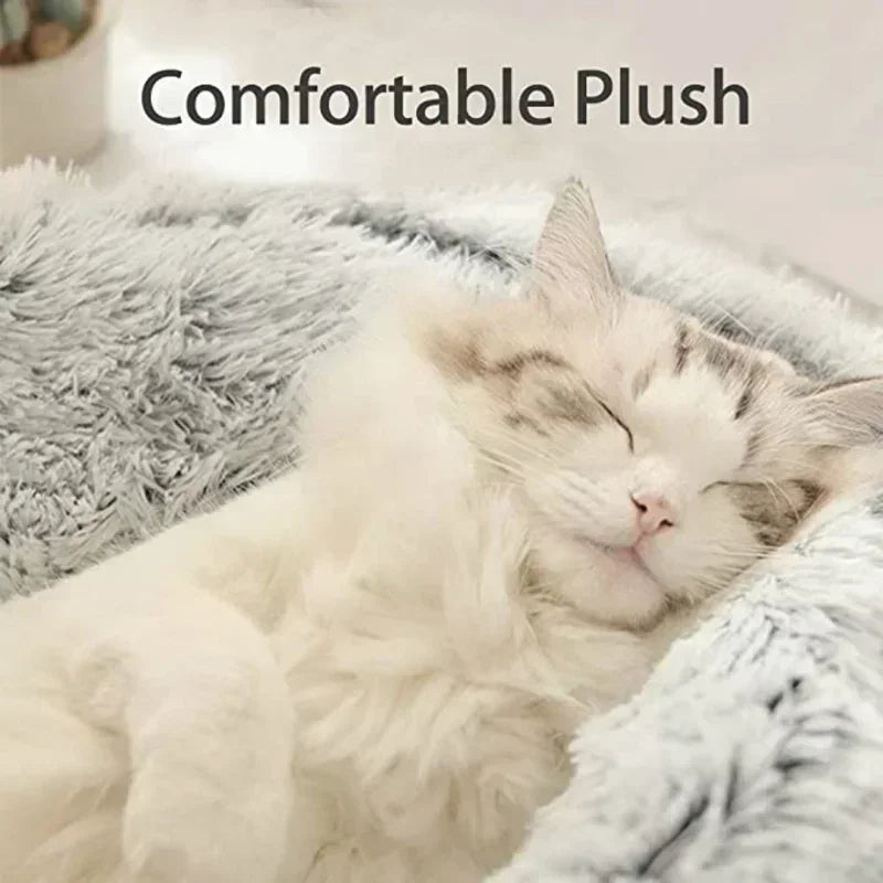 The PurrNest